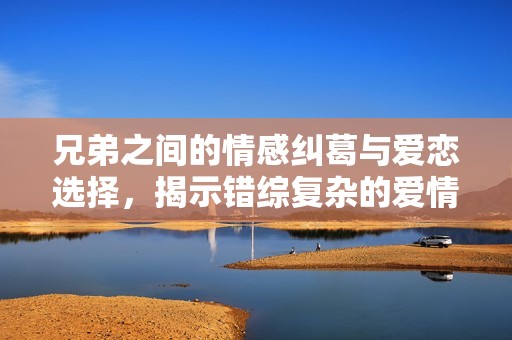 兄弟之间的情感纠葛与爱恋选择，揭示错综复杂的爱情故事
