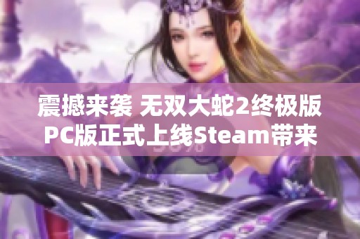 震撼来袭 无双大蛇2终极版PC版正式上线Steam带来全新中文体验