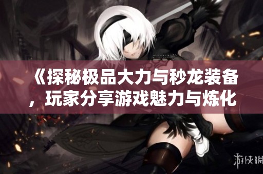 《探秘极品大力与秒龙装备，玩家分享游戏魅力与炼化技巧》