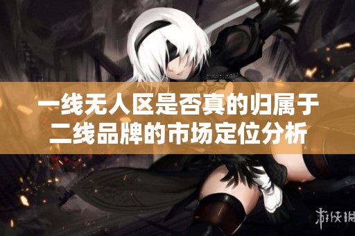一线无人区是否真的归属于二线品牌的市场定位分析