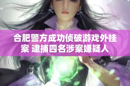 合肥警方成功侦破游戏外挂案 逮捕四名涉案嫌疑人