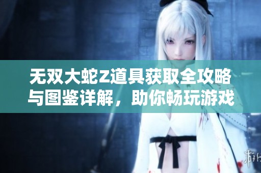 无双大蛇Z道具获取全攻略与图鉴详解，助你畅玩游戏！