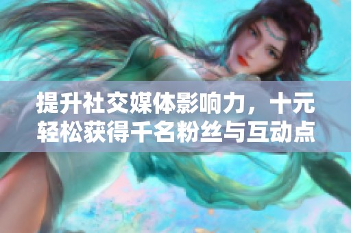 提升社交媒体影响力，十元轻松获得千名粉丝与互动点赞