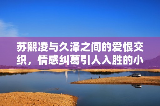 苏熙凌与久泽之间的爱恨交织，情感纠葛引人入胜的小说分享