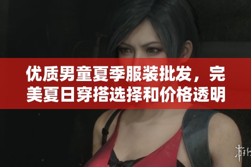 优质男童夏季服装批发，完美夏日穿搭选择和价格透明资讯