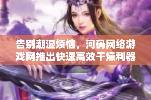 告别潮湿烦恼，河码网络游戏网推出快速高效干燥利器