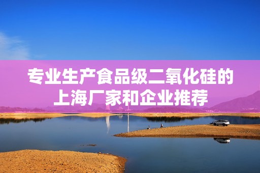 专业生产食品级二氧化硅的上海厂家和企业推荐