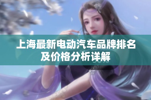 上海最新电动汽车品牌排名及价格分析详解