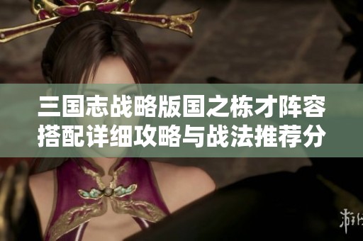 三国志战略版国之栋才阵容搭配详细攻略与战法推荐分析