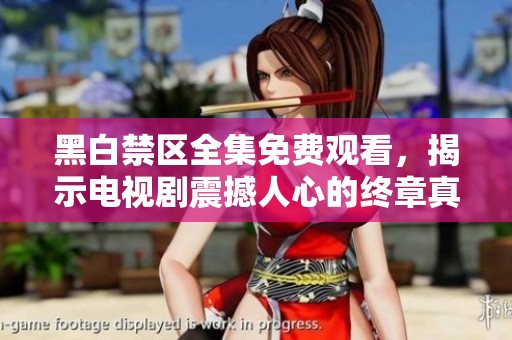 黑白禁区全集免费观看，揭示电视剧震撼人心的终章真相