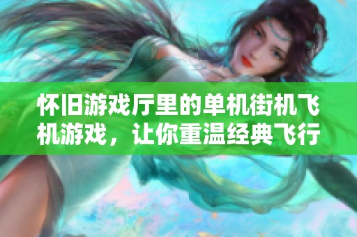 怀旧游戏厅里的单机街机飞机游戏，让你重温经典飞行冒险乐趣