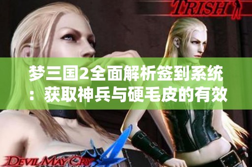 梦三国2全面解析签到系统：获取神兵与硬毛皮的有效方法与策略