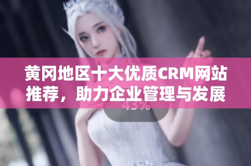 黄冈地区十大优质CRM网站推荐，助力企业管理与发展