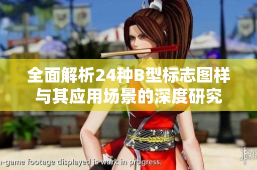 全面解析24种B型标志图样与其应用场景的深度研究