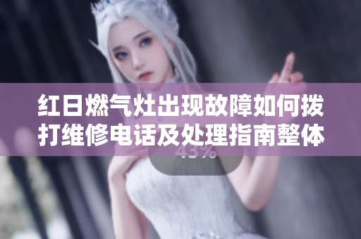 红日燃气灶出现故障如何拨打维修电话及处理指南整体分析