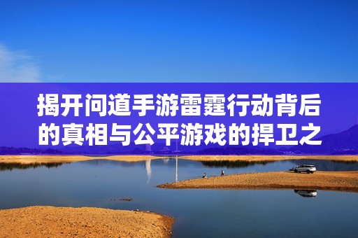 揭开问道手游雷霆行动背后的真相与公平游戏的捍卫之路