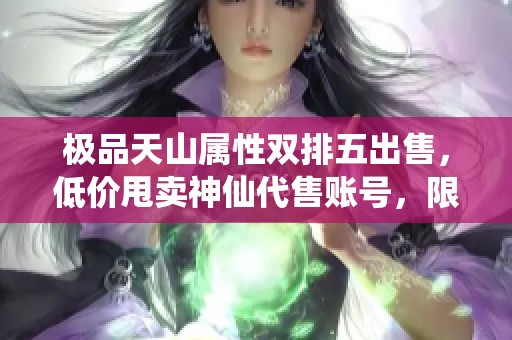 极品天山属性双排五出售，低价甩卖神仙代售账号，限时优惠！