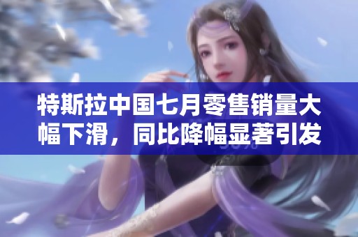特斯拉中国七月零售销量大幅下滑，同比降幅显著引发关注
