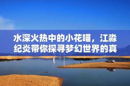 水深火热中的小花喵，江淼纪炎带你探寻梦幻世界的真实面貌