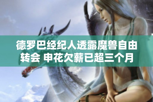 德罗巴经纪人透露魔兽自由转会 申花欠薪已超三个月