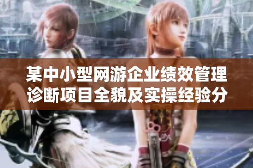 某中小型网游企业绩效管理诊断项目全貌及实操经验分享