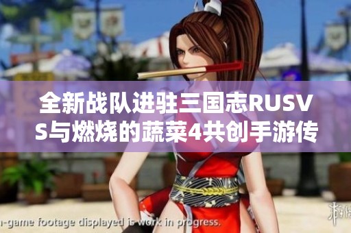 全新战队进驻三国志RUSVS与燃烧的蔬菜4共创手游传奇