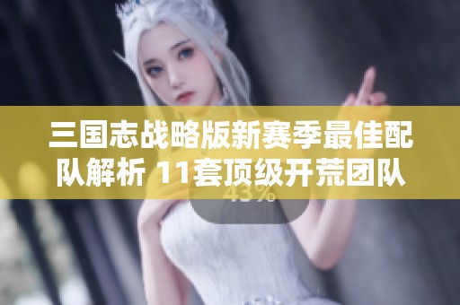 三国志战略版新赛季最佳配队解析 11套顶级开荒团队攻略分享