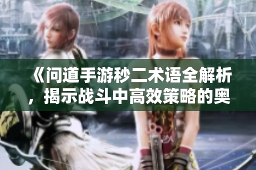《问道手游秒二术语全解析，揭示战斗中高效策略的奥秘》