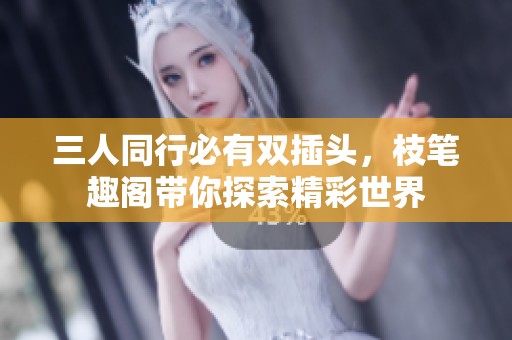 三人同行必有双插头，枝笔趣阁带你探索精彩世界