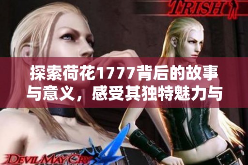 探索荷花1777背后的故事与意义，感受其独特魅力与文化传承