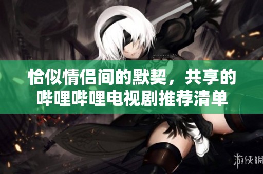 恰似情侣间的默契，共享的哔哩哔哩电视剧推荐清单