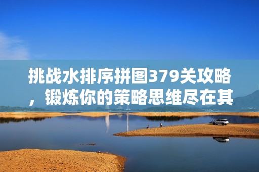 挑战水排序拼图379关攻略，锻炼你的策略思维尽在其中！