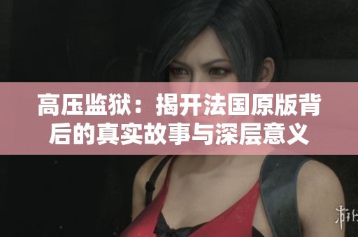 高压监狱：揭开法国原版背后的真实故事与深层意义