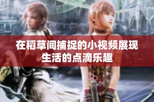 在稻草间捕捉的小视频展现生活的点滴乐趣