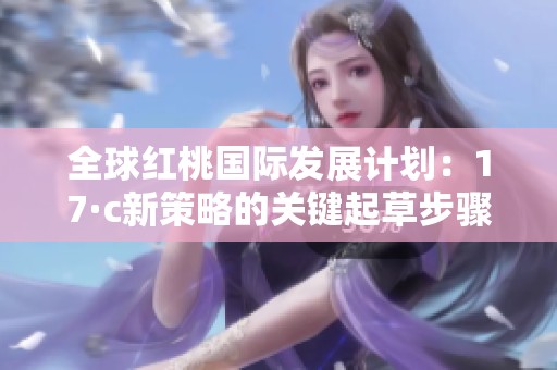全球红桃国际发展计划：17·c新策略的关键起草步骤与展望