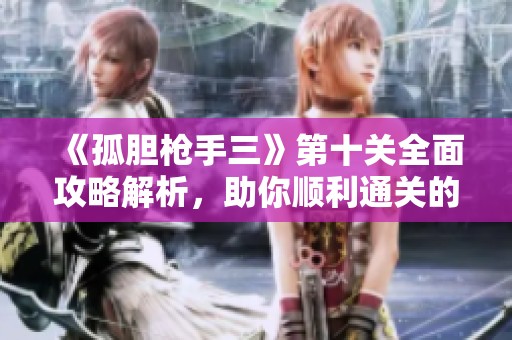 《孤胆枪手三》第十关全面攻略解析，助你顺利通关的秘诀大揭秘