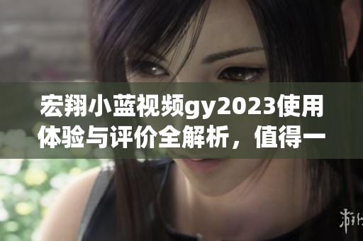 宏翔小蓝视频gy2023使用体验与评价全解析，值得一试吗？