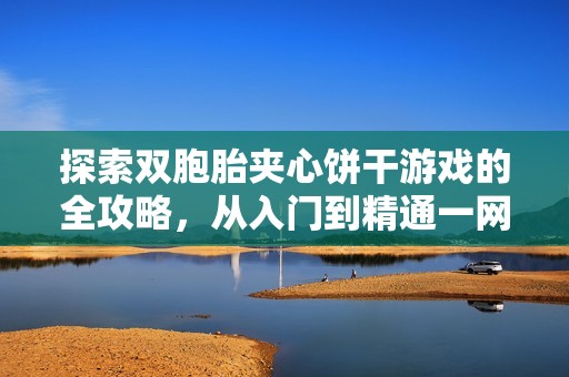 探索双胞胎夹心饼干游戏的全攻略，从入门到精通一网打尽
