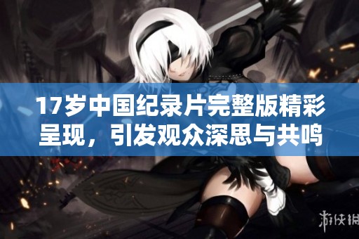 17岁中国纪录片完整版精彩呈现，引发观众深思与共鸣