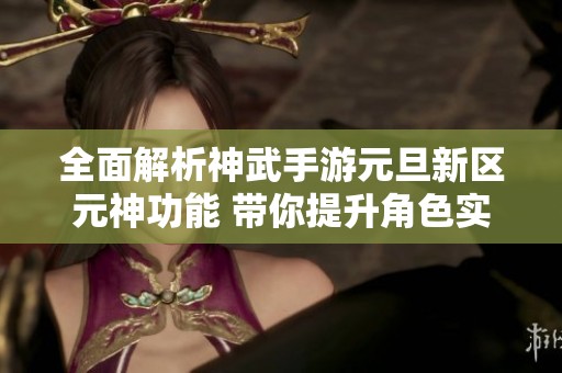 全面解析神武手游元旦新区元神功能 带你提升角色实力的攻略宝典