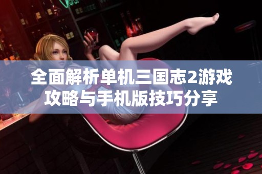 全面解析单机三国志2游戏攻略与手机版技巧分享