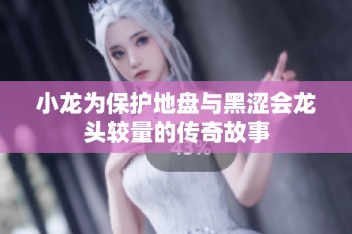 小龙为保护地盘与黑涩会龙头较量的传奇故事