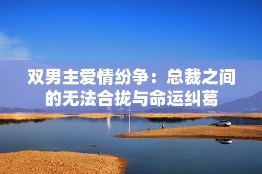 双男主爱情纷争：总裁之间的无法合拢与命运纠葛