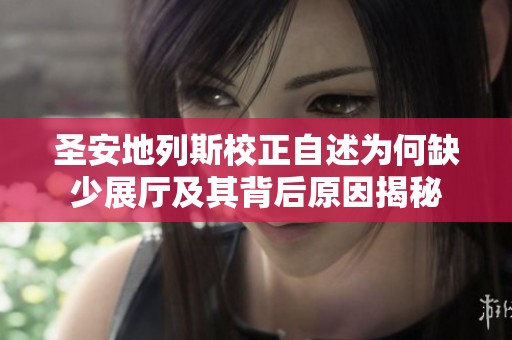圣安地列斯校正自述为何缺少展厅及其背后原因揭秘
