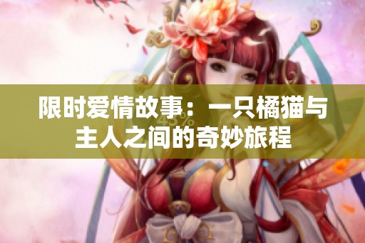 限时爱情故事：一只橘猫与主人之间的奇妙旅程