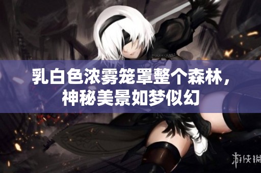 乳白色浓雾笼罩整个森林，神秘美景如梦似幻