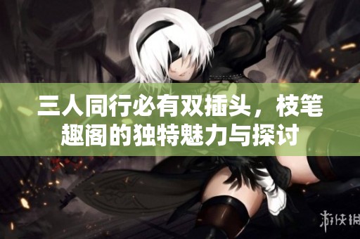 三人同行必有双插头，枝笔趣阁的独特魅力与探讨