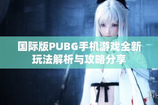 国际版PUBG手机游戏全新玩法解析与攻略分享