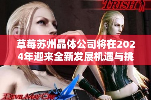 草莓苏州晶体公司将在2024年迎来全新发展机遇与挑战