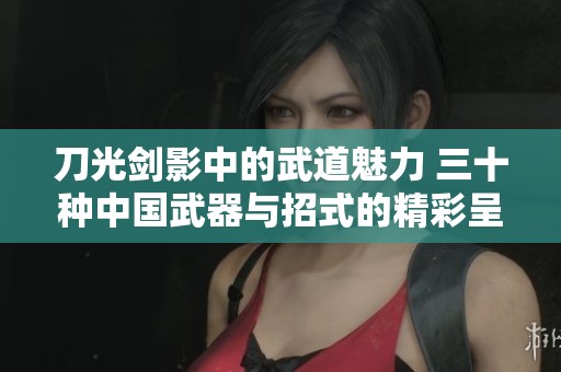 刀光剑影中的武道魅力 三十种中国武器与招式的精彩呈现